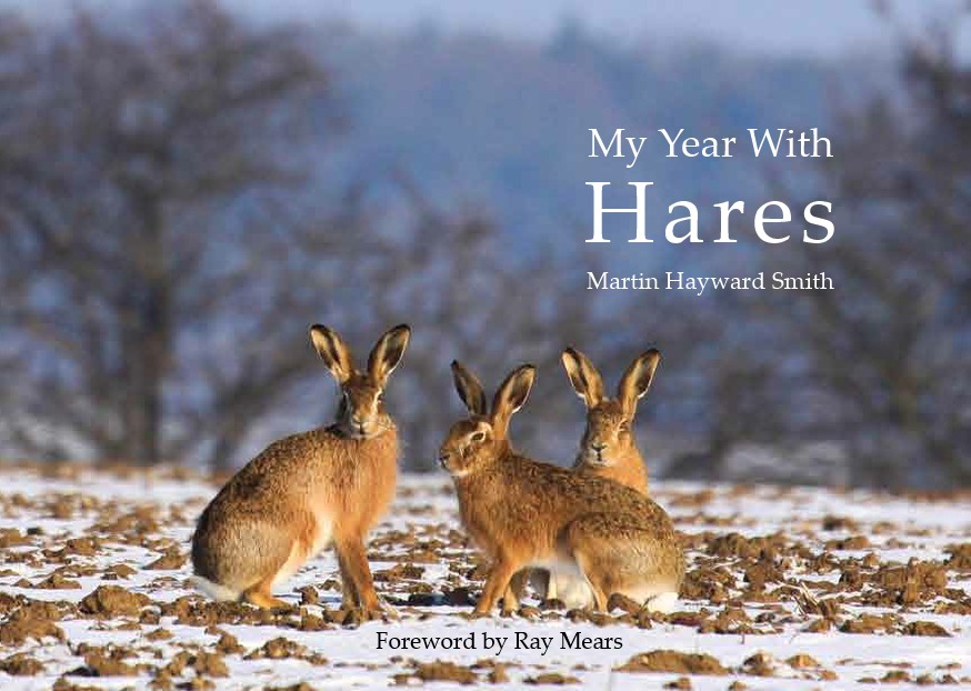 myyearwithhares_cover
